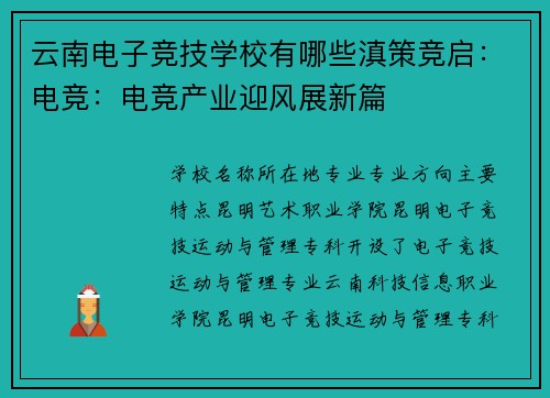 云南电子竞技学校有哪些滇策竞启：电竞：电竞产业迎风展新篇